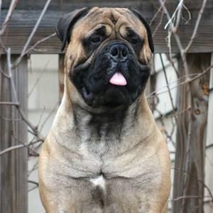 Meet your Posher, Vinnie
